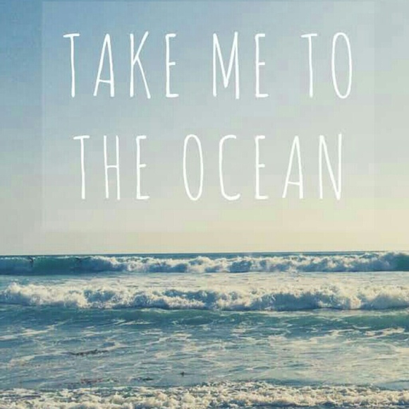 Hi, I'm Tara! - Picture 1 of 5